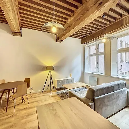 Appartement Cosy Appt Coeur De Lyon Du Boeuf 2 Extérieur photo
