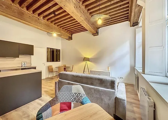 Cosy Appt Coeur De Lyon Du Boeuf 2